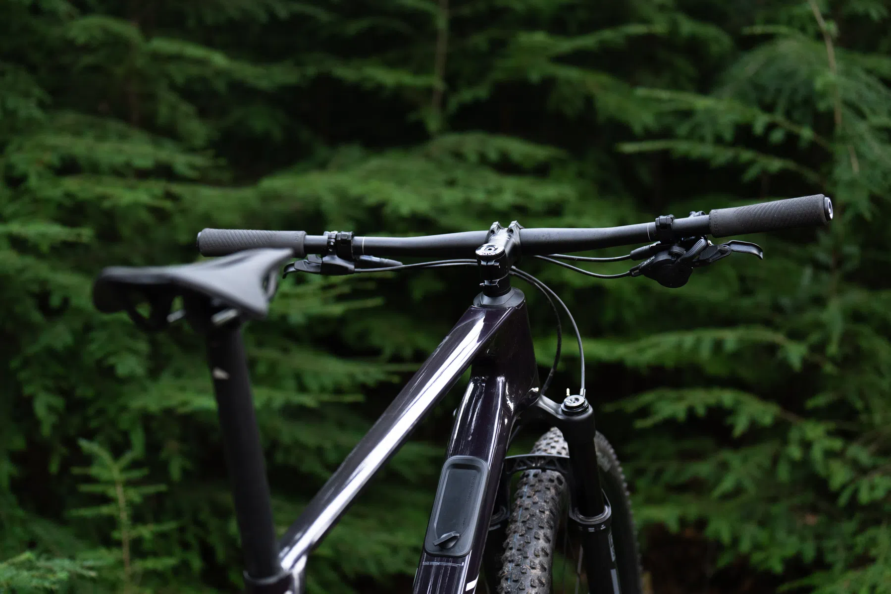 Review: Canyon Exceed CF6